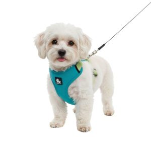 Harnais canicross petit chien sport et running