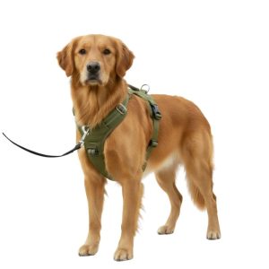 Harnais anti traction chien double attache