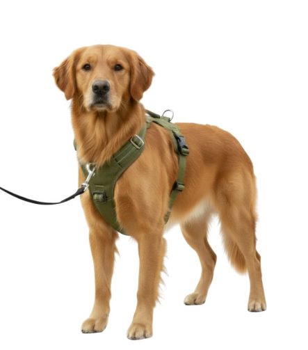 Harnais anti traction chien double attache
