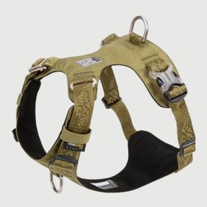 Harnais Anti Traction Chien Double Attache Réglable