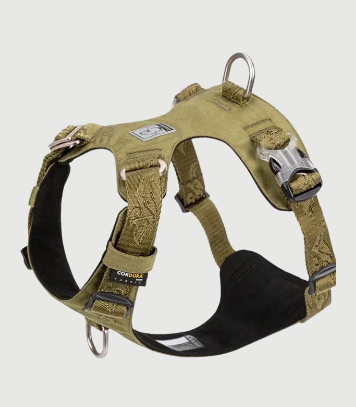 Harnais Anti Traction Chien Double Attache Réglable