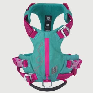 Harnais anti traction chien sangles rembourrées