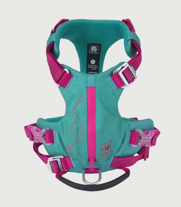 Harnais anti traction chien sangles rembourrées