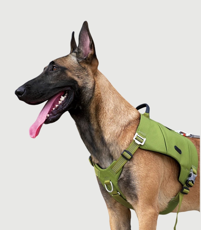Harnais anti traction chien tactique robuste