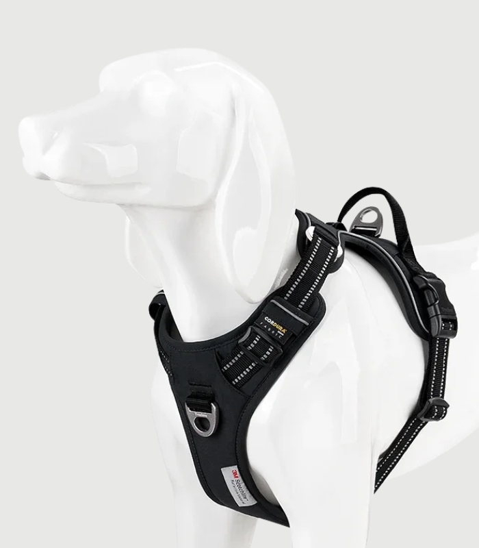 Harnais Anti-Traction pour Grand Chien Ajustable et Rembourré Haute Résistance