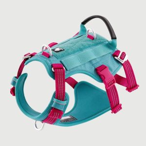 Harnais Anti Traction Gros Chien Résistant et Réglable