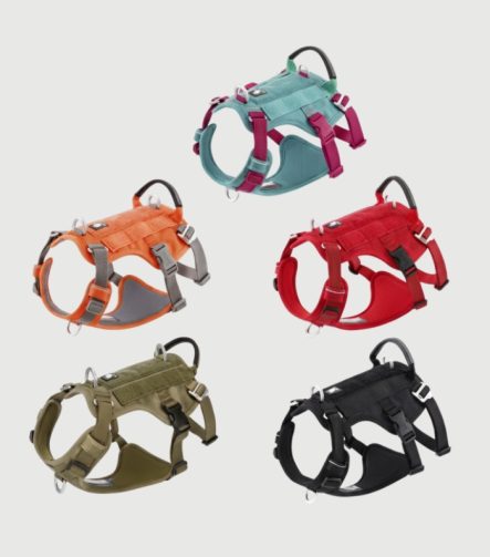 Harnais Anti Traction Gros Chien Résistant et Réglable
