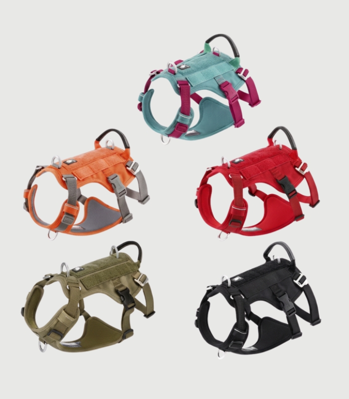 Harnais Anti Traction Gros Chien Résistant et Réglable