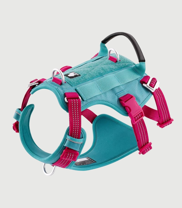 Harnais Anti Traction Gros Chien Résistant et Réglable