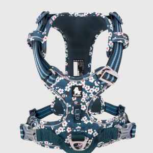 Harnais Chien Anti Traction Réglable pour Chien qui Tire