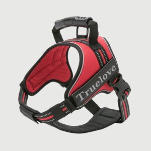 Harnais Chien Confortable Rembourré – Anti-Irritation et Ajustable