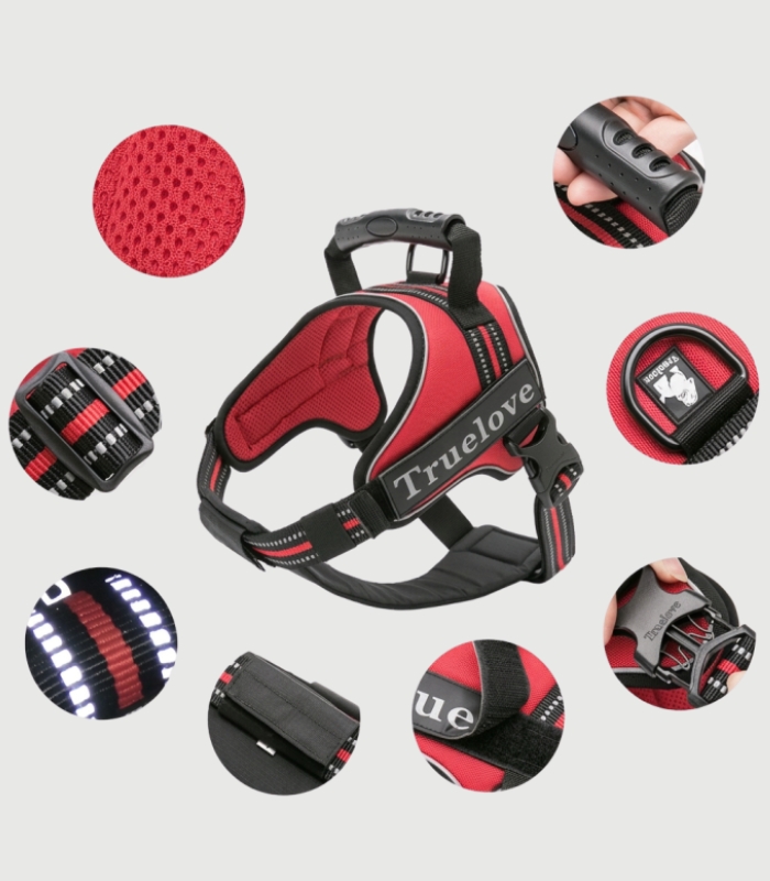 Harnais Chien Confortable Rembourré – Anti-Irritation et Ajustable