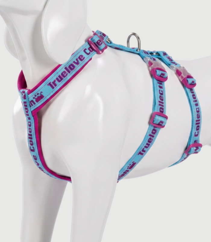 Harnais Chien Réglable Toutes Races – Ajustable, Confortable et Sécurisé