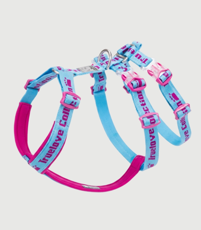 Harnais Chien Réglable Toutes Races – Ajustable, Confortable et Sécurisé