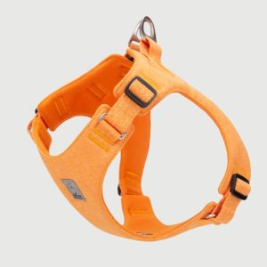 Harnais petit chien confortable sangles douces