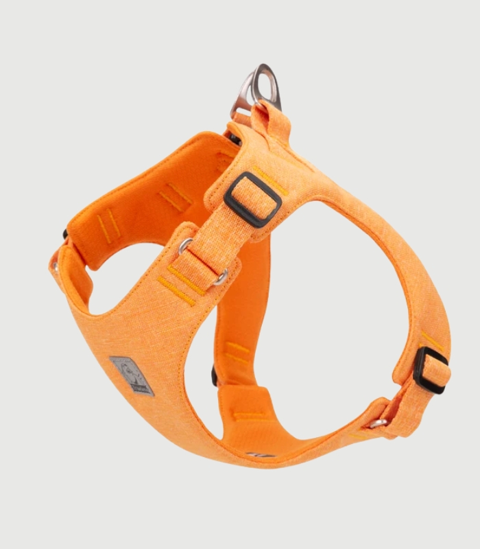 Harnais petit chien confortable sangles douces