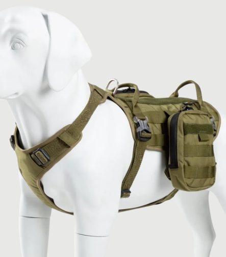 Harnais Tactique pour Chien - Robuste, Réglable avec Poignée
