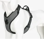 Harnais anti traction chien réfléchissant nuit - NOIR, M