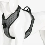 Harnais anti traction chien réfléchissant nuit - NOIR, M