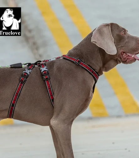 Harnais chien réglable pour toutes les races