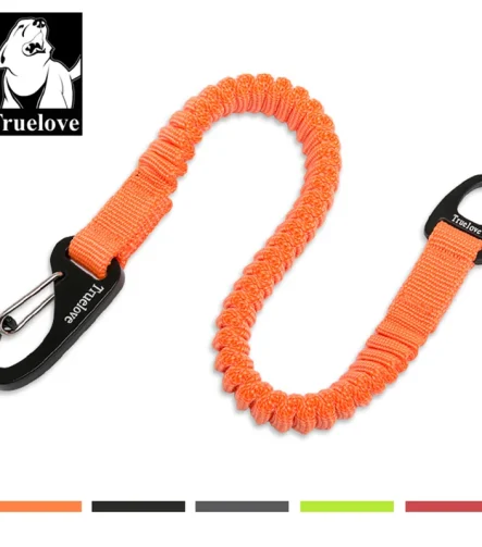 Laisse pour chien courte élastique nylon corde souple