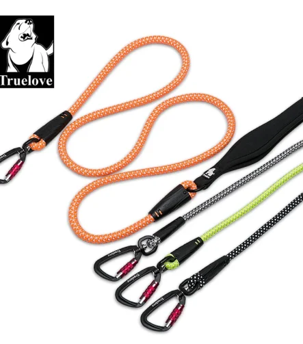 Laisse pour chien nylon poignée néoprène confortable