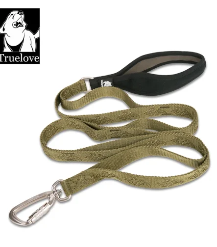 Laisse pour chien nylon mousqueton zinc solide simple