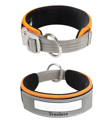 Collier chien réfléchissant sécurité promenade nuit