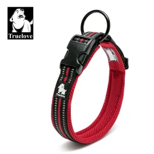 Collier chien grand gabarit solide et résistant