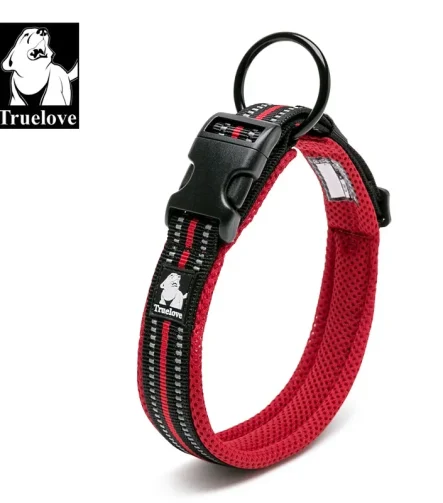 Collier chien grand gabarit solide et résistant