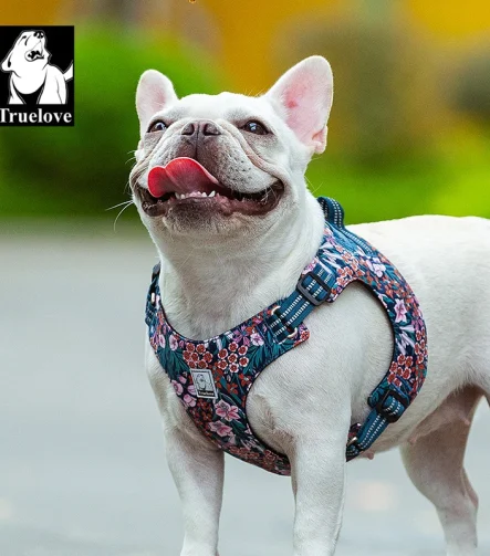 Harnais petit chien souple et léger réglable