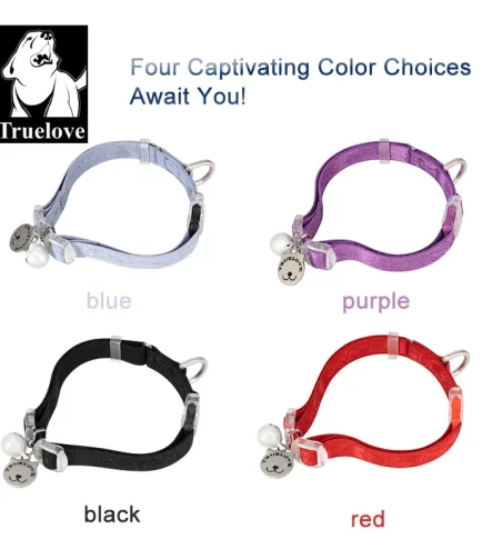 Collier chien confort quotidien doux et réglable