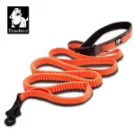 Laisse pour chien élastique rétractable course jogging