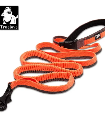 Laisse pour chien élastique rétractable course jogging