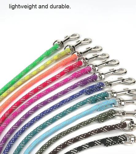 Laisse pour chien corde nylon légère petit chien