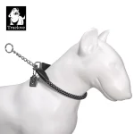 Collier chien lumineux sécurité nuit réfléchissant