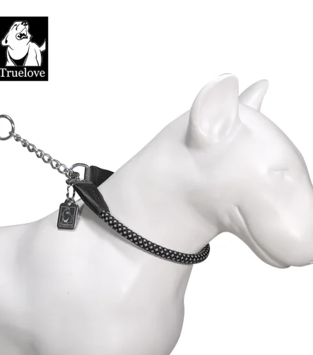 Collier chien lumineux sécurité nuit réfléchissant