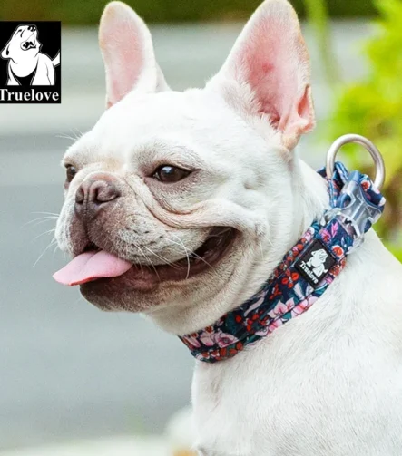 Collier chien chiot apprentissage doux et léger