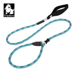 Laisse et collier chien assortis entraînement durable