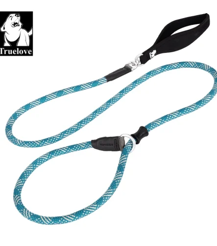 Laisse et collier chien assortis entraînement durable