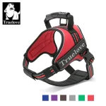 Harnais chien confortable rembourré sans irritation