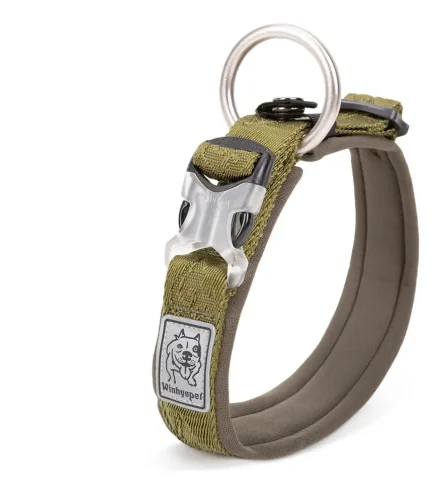 Collier chien luxe élégant et raffiné