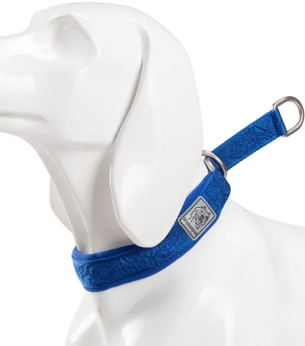 Collier chien nylon léger et confortable quotidien