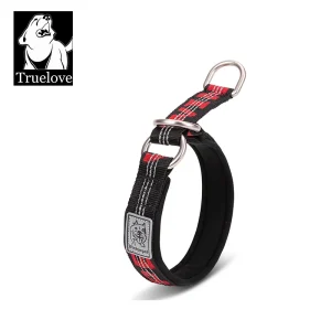 Collier chien rappel dressage éducation efficace