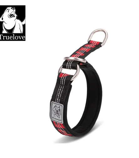Collier chien rappel dressage éducation efficace