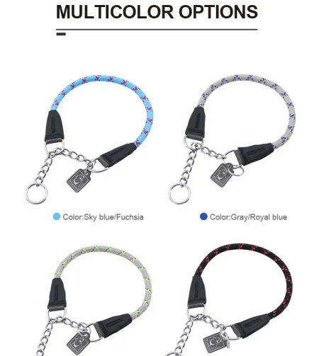 Collier chien sport et randonnée résistant solide