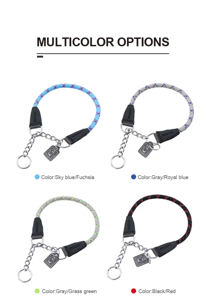 Collier chien sport et randonnée résistant solide