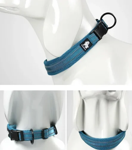 Collier chien nylon renforcé solide et durable