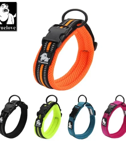 Collier chien nylon renforcé solide et durable
