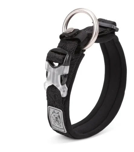 Collier chien luxe élégant et raffiné